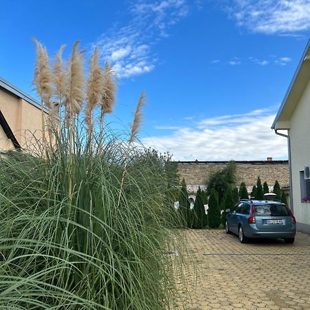 Nest Zen Garden Lejlighed Novi Sad Eksteriør billede