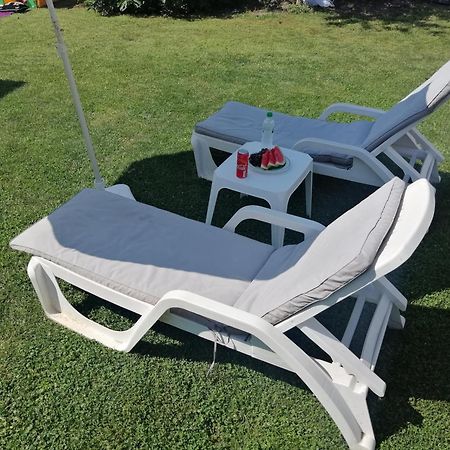 Nest Zen Garden Lejlighed Novi Sad Eksteriør billede