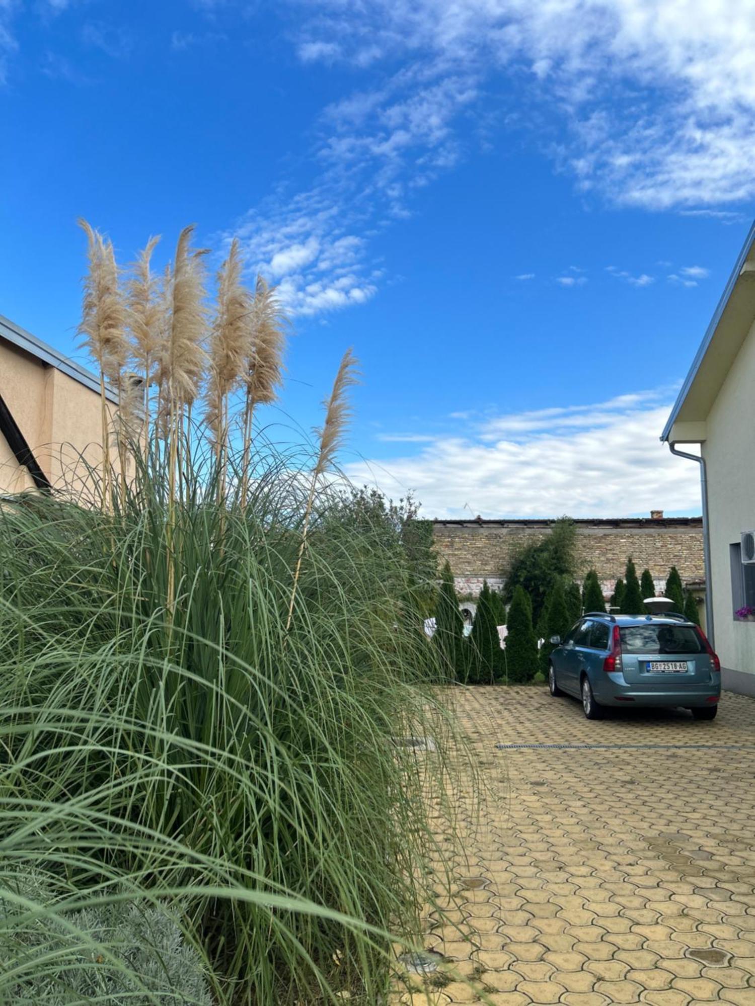 Nest Zen Garden Lejlighed Novi Sad Eksteriør billede